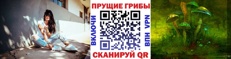 Купить закладки  Губаха  Галлюциногенные грибы Psilocybe 